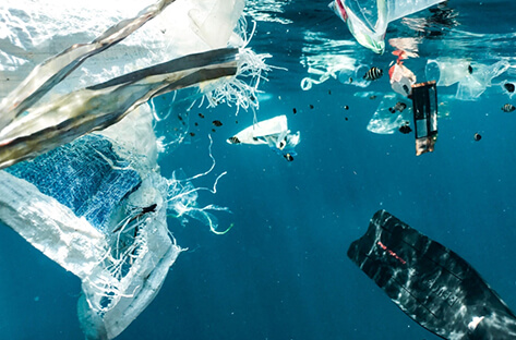 Building_a_Global_Observing_System_for_Marine_Debris_The_IMDOS_Initiative